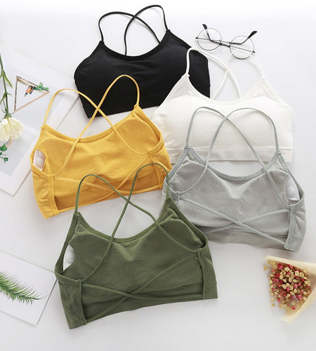 Sexy  Fitness Sports Bra